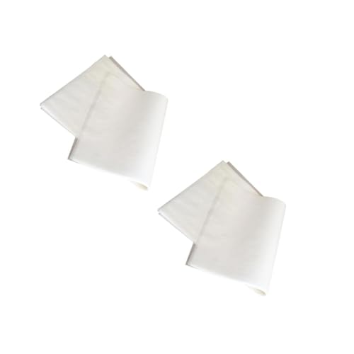 PRETYZOOM 2 Juegos Papel Para Pescado A La Parrilla Papel Para Freír Papel Para Carnicero Papel Para Barbacoa Papel Para Hornear Bufé Papel Para Comida Frita Papel Para Parrilla 50 hojas * 2