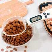 Highboy Electronic Kitchen Digital Spoon Weighing Scale