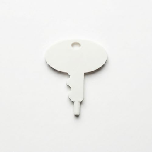 Llave de repuesto compatible con Cranium Cariboo Game - Llave de plástico blanca, 1 paquete