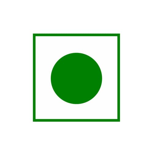 Nutritius Family Combo Chikki (Pack Of 12) + 1 Free Surprise Chikki (26G) | Dry Fruits | Cashew | Peanut | Hazelnut | Almond | No Preservative Colour Or Flavours