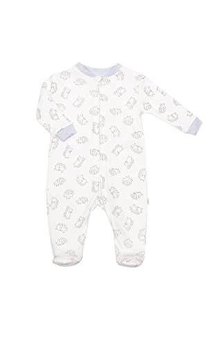 Snugabye Dream Front-Zip Footed Sleeper Unisex Onesie | Assorted Animal Patterns & Colours (Blue (Hedgehogs), 0-3 Months)