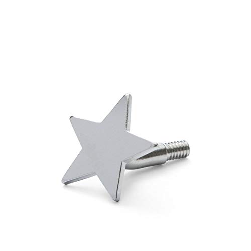 Encaustic Art - Stylus Pro Tip - Fun Tip - Star