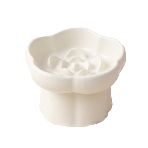 iikuru   M H h~ 􂢂₷ H a   t[h{E