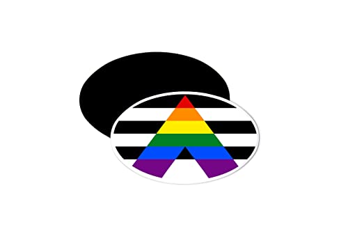 Imán Ovalado de Bumper para Auto LGBTQ+ 5x3 Pulgadas miniatura 1