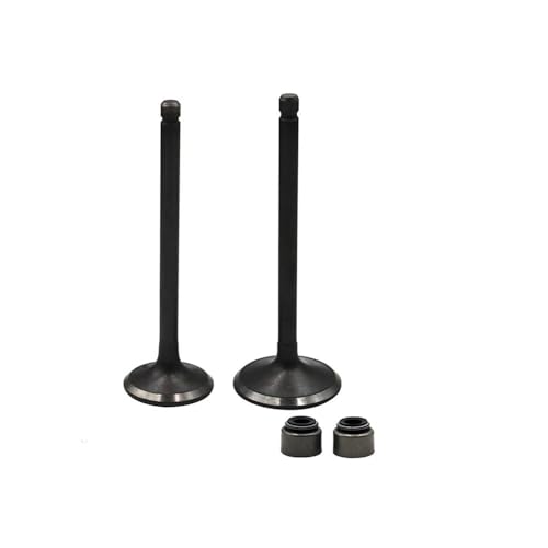 Válvula de admisión y escape para culata YFM250 y YFM225 PRO-4
