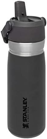 Stanley IceFlow Stainless Steel Water Bottle with Flip Straw 0.65L / 22OZ Charcoal  Leakproof Insulated Water Bottle - Keeps Cold for 12+ Hours - BPA-Free Thermos Flask - Dishwasher Safe