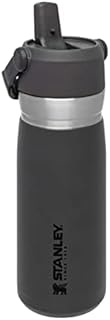 Stanley IceFlow Stainless Steel Water Bottle with Flip Straw 0.65L / 22OZ Charcoal  Leakproof Insulated Water Bottle - Keeps Cold for 12+ Hours - BPA-Free Thermos Flask - Dishwasher Safe