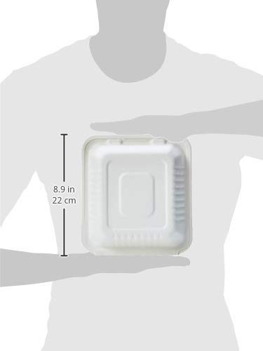 Amazon Basics Compostable 3-Compartment Clamshell Hinged Food Container, 8" x 8" x 3", Pack of 25