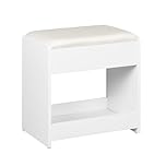 Hzuaneri Dressing Table Stool, Soft Padded Vanity Stool, Makeup Chair with Non-Slip Foot Pads for Dressing Room, Bottom Storage, Bedroom, Entryway, White VS32403X