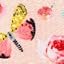 Pastel Pink