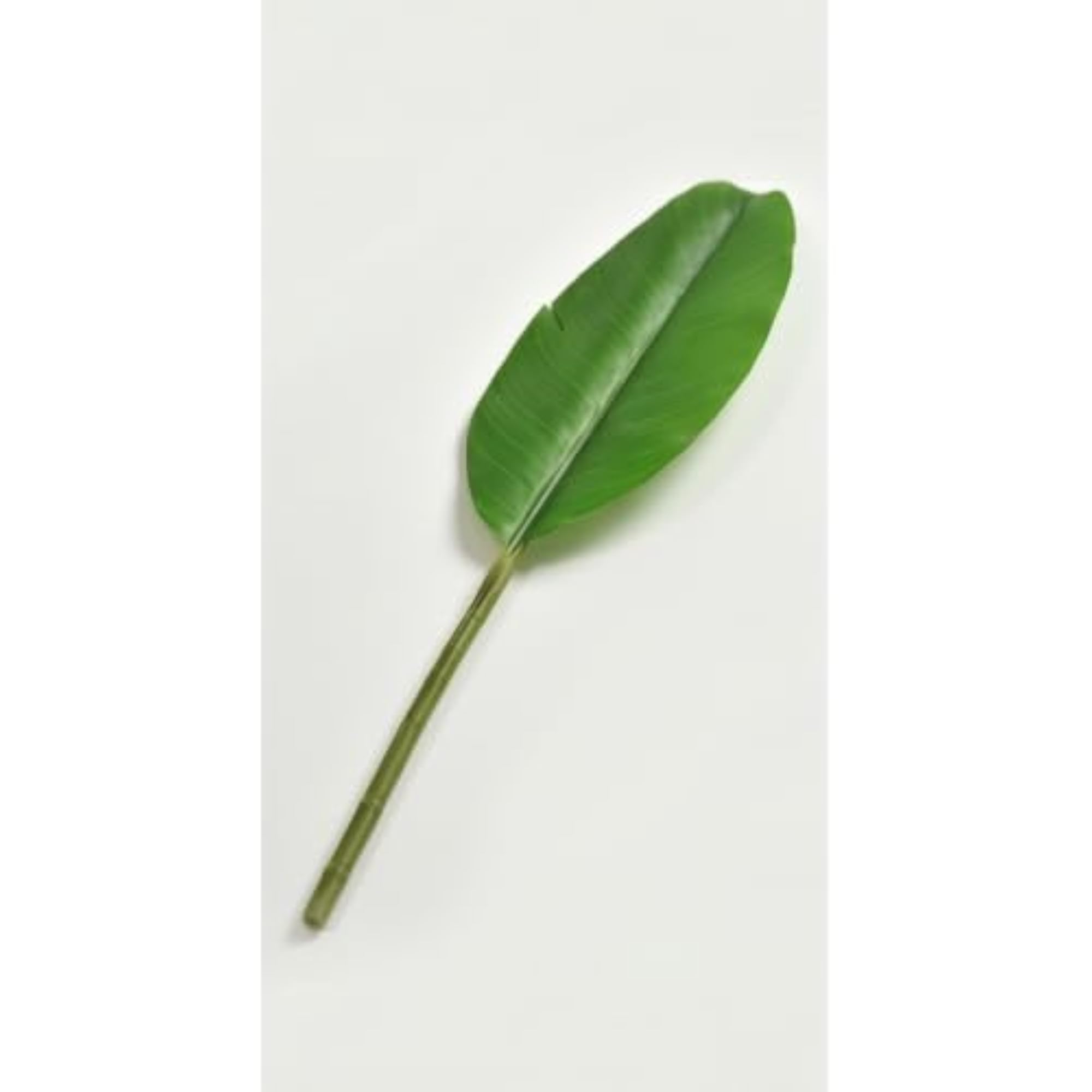 Banana Leaf Stem, Green