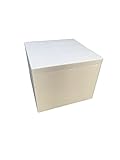IHR FACHGESCHÄFT KLAASSEN Thermobox 49 L, Styroporbox/Eisbox für Essen, Getränke & temperaturempfindliche Ware, Isolierbox aus Styropor mit Deckel, Maße: 48,2x48,2x38,2 cm, Wandstärke: 3,8 cm