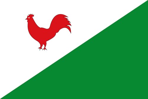 Drapeau Heinkenszand vlag grand format pour pavoiser l'ancienne municipalité - 2
