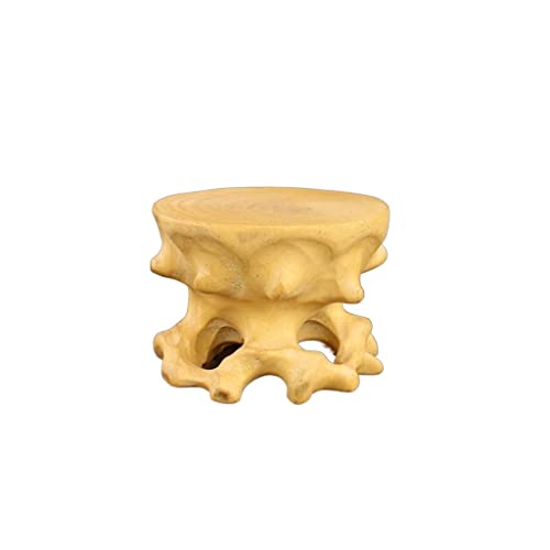 Socle pour bonsaï en bois précieux support de vase - 2