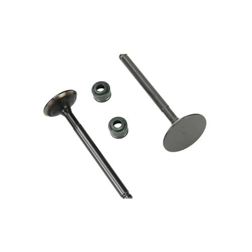 Válvula de admisión y escape para motocicleta YX 160cc kit con sello de aceite motor 60 mm