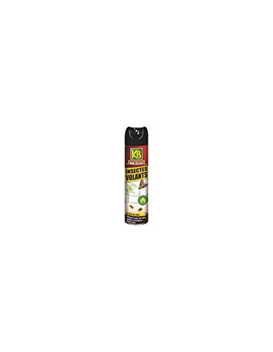 KB HOME DEFENSE HOME DEF.INSECTES VOLANTS 400ML /NC Cover