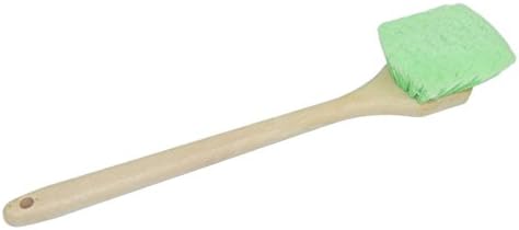 CARCAREZ 20" Long Handle Tire Brush for Auto Car Vehicle Truck Motorcycle Wheel Cleaning, Green