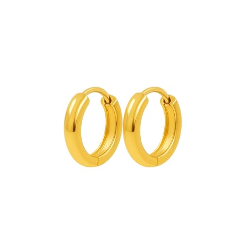 LUVA 18K Gold Plated Stainless Steel Hoop Earrings for Women - Waterproof, Hypoallergenic, Tarnish Free Thick Hoops - Everyday Lightweight Earrings (Gold, 12 mm)