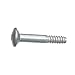 Tapping Screw