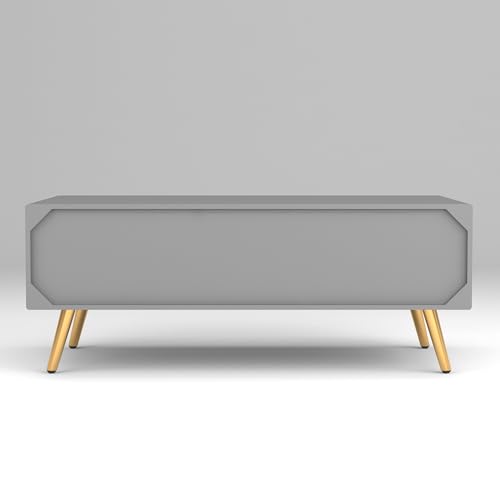 Image of ONIJA Modern Coffee Table for Living Room | HDMR Premium Wood Center Table with Storage Shelf | Matte Finish Coffee Table | Wooden Tea Table with Sturdy Legs (Grey)