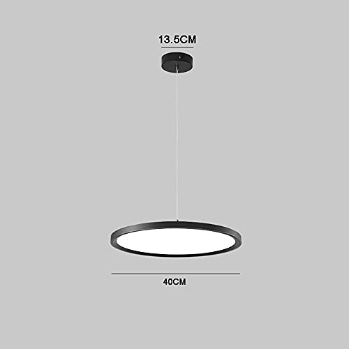 Lámpara de techo LED 24W con diseño moderno para restaurantes 2