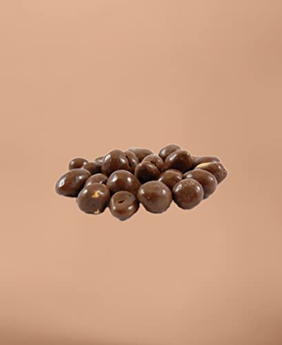 Dry-Fruit - Erdnüsse in Vollmilchschokolade 500g | Schoko Nüsse | Schokolinsen mit Erdnüssen | Knabberzeug | für alle Naschkatzen und Schokoladenliebhaber | 500g