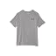 Tetra Gray (015)