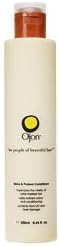 Shine and Protect Conditioner (8 oz)