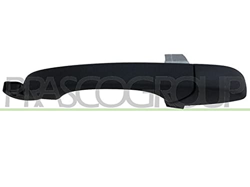 Prasco Türgriff [Hersteller-Nr. JE0308002] für Jeep, Dodge