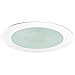 Nora Lighting NS-27W 4in. Frosted Lens Recessed Lighting Trim