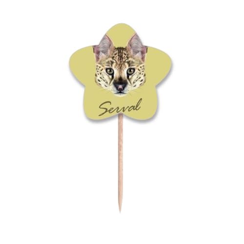 Cure-dents animal à pois longues pattes drapeau étoile buffet