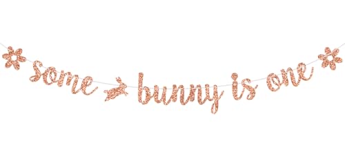 Some Bunny is One Banner, Easter 1st Birthday, Bunny One Sign, Spring Easter Happy 1st Birthday Party Decorations Supplies for Kids