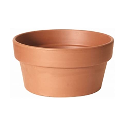 Maceta baja barro 10x17 cm