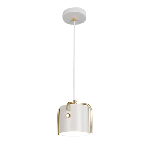 Lustre cage E27 blanc suspension luminaire en métal pour cuisine et chambre