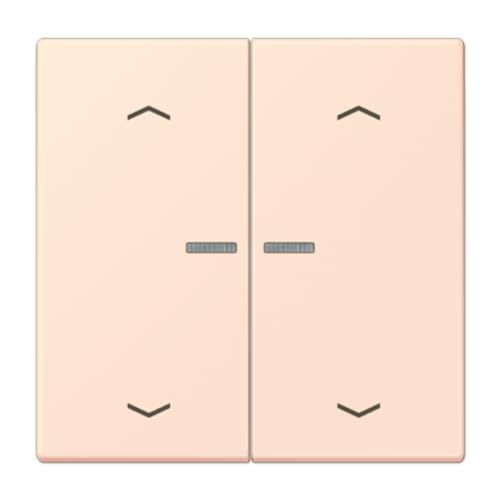 Touche JUNG HOME volet roulant LC32082 mécanisme à 2 phases