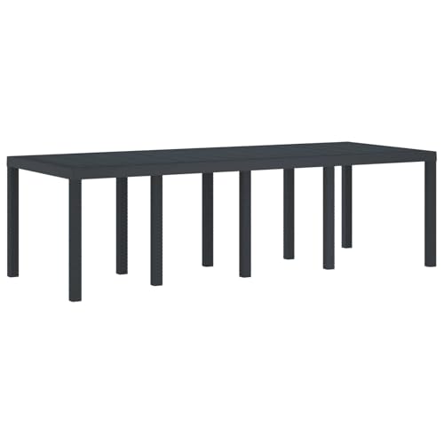 vidaXL Table de Jardin pour Repas Anthracite 250 x 100