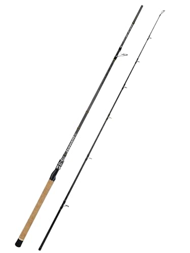 Jenseits 8Ft Spinning Fishing Rod, 2-Piece H Fast Action Bass Rod