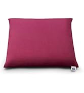 エアウィーヴ 座布団 ワインレッド 中サイズ 幅46×長さ46×厚さ約9㎝ 4-265031-RE-1 中