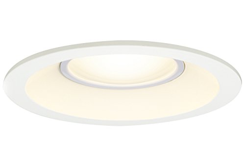 東芝ライテック LEDダウンライト 浴室 アウトドア LED一体形 電球色 60W φ100