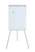 Bi-Office Earth Flipchart Tripod Magnetic Easel, 70 x 100 cm (Euro Size), Lacquered Steel Dry Wipe Surface, Aluminium Frame