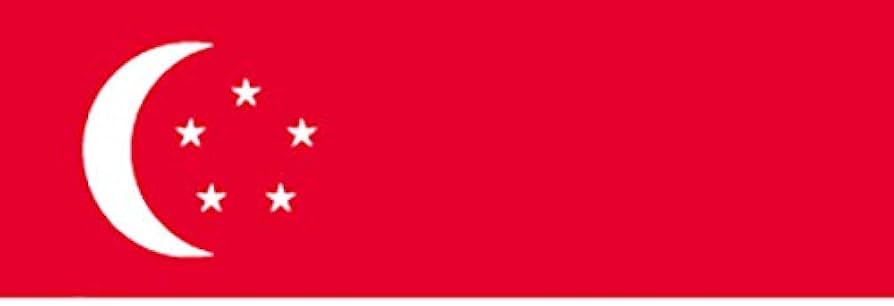 Amazon.co.jp: 国旗 シンガポール No.2 No.23088(取寄商品） : おもちゃ