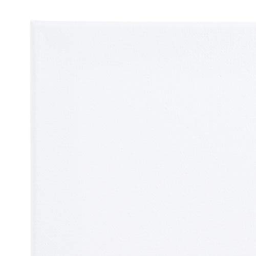 Pre Stretched Cotton Canvas, 8X10 Inch | 10 Pack Of Triple Primed Blank White Artists Canvases | Art Supplies For Painting, Acrylics, And Oil Paint | Value Set #TOP1