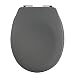 Produktbild Spirella Premium Toilettendeckel oval Klodeckel mit matten Finish und Softclose Absenkautomatik. Antibakterielle Klobrille aus Duroplast und rostfreiem Edelstahl-Grau, Thermo hart, Gray