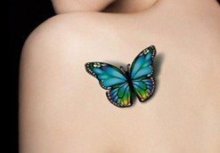 3d Schmetterlinge Tattoos Temporares Fake Tattoo 3d 30 Amazon De Beauty 3d Schmetterlinge Tattoos Temporares Fake Tattoo 3d 30 Amazon De Beauty