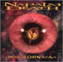 Dentro del desgarrado