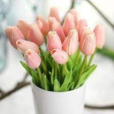 Image of CosaCentrum Beautiful Decorative Artificial Tulip Flower Bunches for Home decor (Baby Pink, Pack of 9)