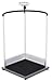 Multifunctional handrail scale with Large Platform and BMI function - 660 lb capacity