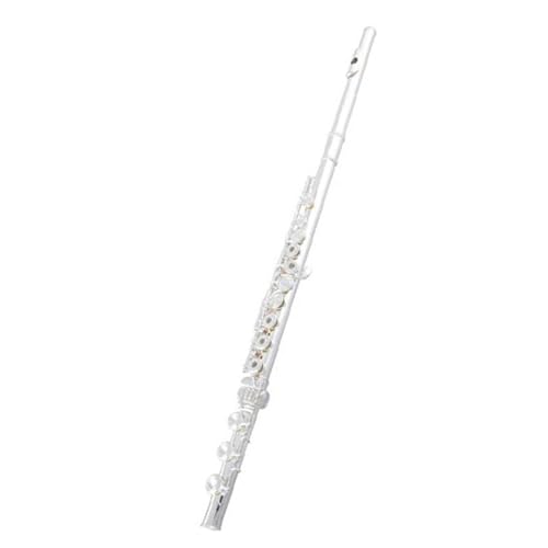 t[gy vtFbVi t[g 16 17 z[ ei[ t[g y lp (X^C 7)