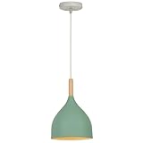 ADAPTATION DOUILLES : Doté d'un support E27, il permet d'installer une ampoule de votre choix pour un éclairage personnalisé. Que vous souhaitiez une lumière douce pour la détente ou une lumière plus intense pour les activités quotidiennes, ce lustre répondra à vos besoins