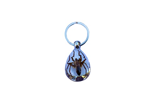Trendy Zone 21 Keychain With Brown Spider Resin Key Ring| Key Chain Oval Shape Creative 2” Spider Keychain For Men & Women, Spider Keyring || 2” Pendant Height|Clear Background #TOP12